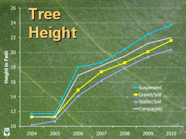 Bartlett-2010 Tree Height Chart bartlett 2010年树高图