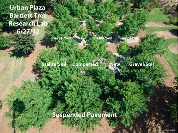 Bartlett Plaza-2012 巴特利特广场- 2012
